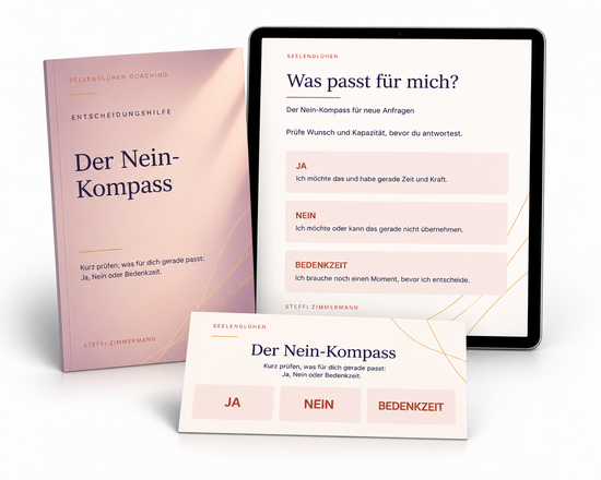Der Nein-Kompass